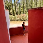 B&B Cilento